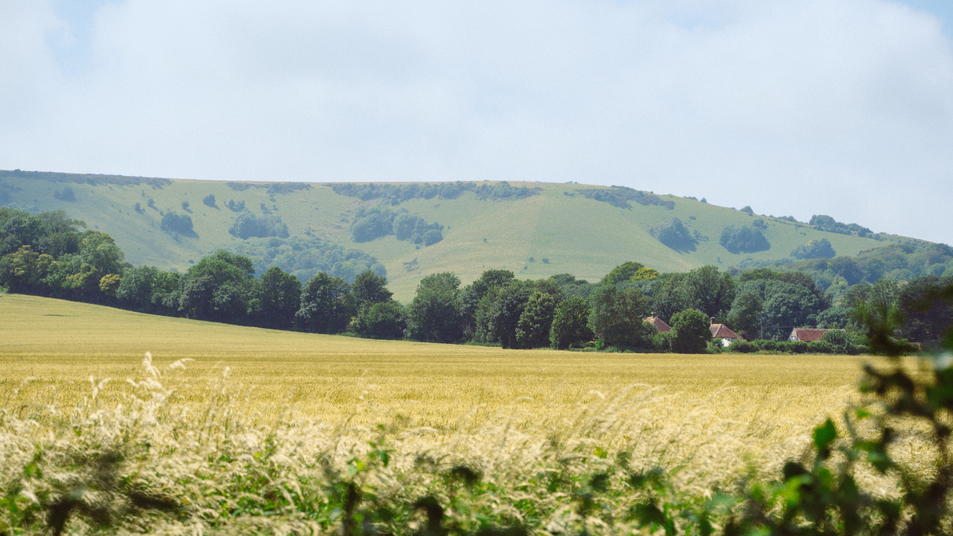 Read more about the article The South Downs National Park