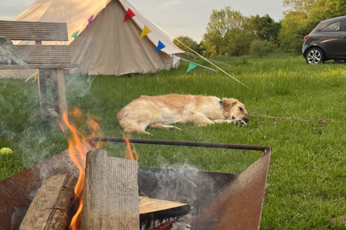 Glamping firepit
